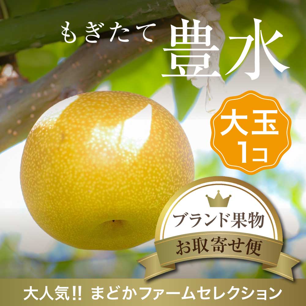 【九州産】単品 梨 豊水 大玉 1個1個入り お試し 少量 1玉 Lサイズ 大サイズ 自宅用 一人分 一人用 直売 産直 農家 農園 産地 直送 通販 直売所 サイズ 熊本県 福岡県 値段 価格 旬 季節 時期 収穫 保存 方法 人気 おすすめ ギフト 贈答 お供え お盆 プレゼント