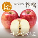 単品 りんご サンつがる 1箱 目安1.5kg 3~6玉入り津軽 個 少量 個人 家庭用 自宅用 食べきり セット 果物 日本産 国産 味 美味しい 甘い 糖度 お取り寄せ グルメ ギフト プレゼント 贈答用 贈答品 お供え ブランド 品種 販売 通販 時期 旬