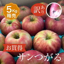 訳アリ【送料無料】箱売 りんご サンつがる 1箱 目安5kg 14～20玉入り津軽 1箱 個 箱売り ...