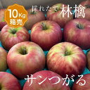 【送料無料】箱売 りんご サンつがる 1箱 目安10kg 28~40玉入り津軽 1箱 個 箱売り 箱買い まとめ買い セット フルーツ 果物 日本産 国産 美味しい 甘い 糖度 お取り寄せ グルメ ギフト プレゼント 贈答 品 お供え ブランド 品種 通販
