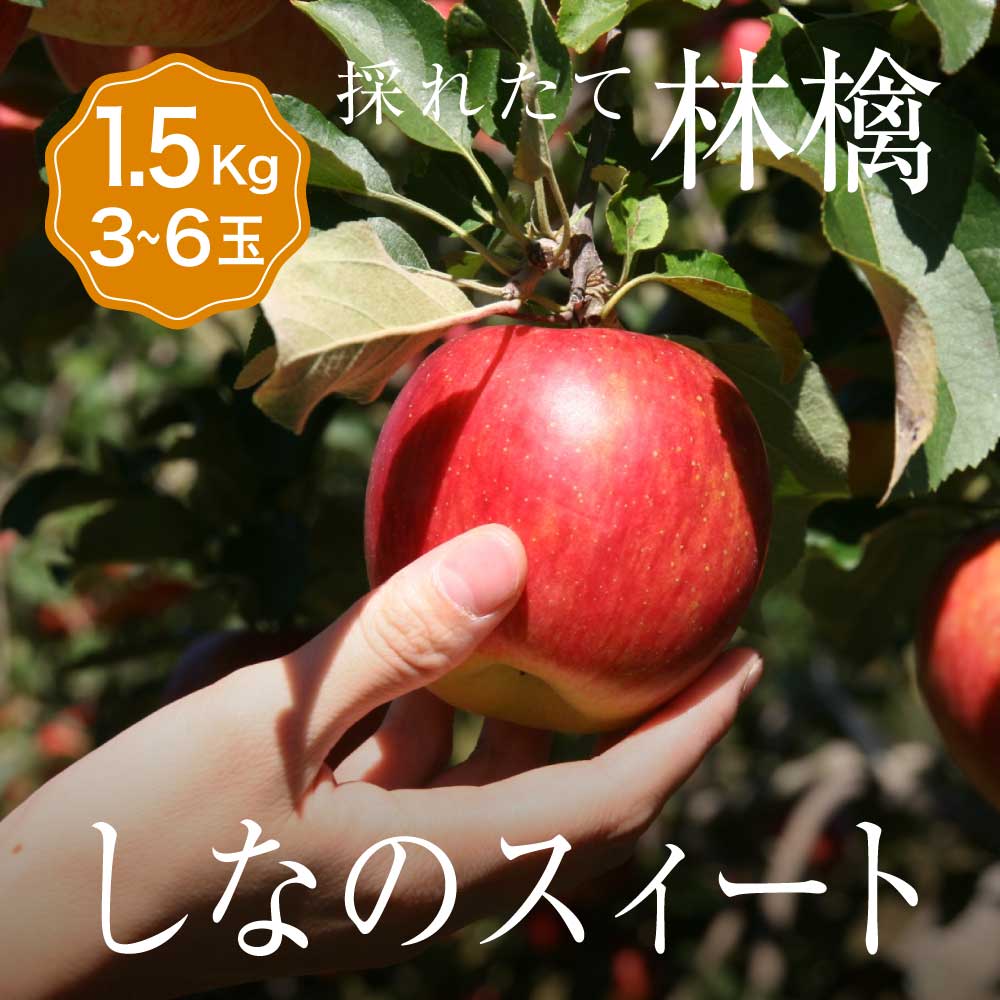 単品 りんご しなのスイート 1箱 目安1.5kg 3〜6玉入り個 少量 個人 自宅用 食べきり セット フルーツ 果物 日本産 国産 美味しい 甘い 糖度 お...