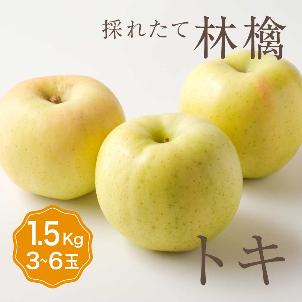単品 りんご トキ 1箱 目安1.5kg 3〜6玉入り黄色りんご 個 少量 個人 自宅用 食べきり セット フルーツ 果物 日本産 国産 美味しい 甘い 糖度 ...