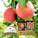 りんご 【送料無料】箱売 りんご サンふじ 1箱5kg 14～20玉 10kg 28～40玉 入りふじ 1箱 個 箱売り 箱買い まとめ買い セット 果物 味 美味しい 甘い 糖度 お取り寄せ グルメ ギフト プレゼント 贈答用 贈答品 お供え ブランド 品種 販売 通販