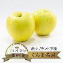 【送料無料】箱売 りんご ぐんま名月 1箱5kg 14～20玉 10kg 28～40玉 入り 1箱  ...