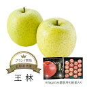 【送料無料】箱売 りんご 王林 1箱5kg 12〜24玉 10kg 24〜48玉 個 入り 箱売り 箱買い まとめ買い セット おうりん 青りんご 味 美味しい...