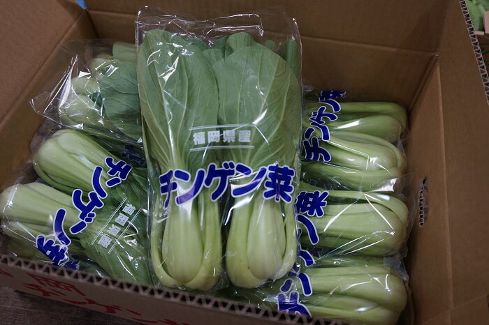 全国お取り寄せグルメ福岡その他の野菜No.16