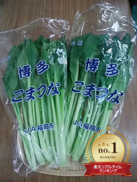 豊饒な九州の大地から産まれた九州産の野菜を、産地直送でお届けします。　野菜のおいしさを感じてみませんか！おすすめ 人気 話題 口コミ クチコミ ランキング 取り寄せ お取り寄せ グルメ 商品 通販 味 美味しい【さまざまなシーンのギフト商品あります】母の日 内祝 内祝い お祝い返し ウェディングギフト ブライダルギフト 引き出物 引出物 結婚引き出物 結婚引出物 結婚内祝い 出産内祝い 命名内祝い 入園内祝い 入学内祝い 卒園内祝い 卒業内祝い 就職内祝い 新築内祝い 引越し内祝い 快気内祝い 開店内祝い 二次会 披露宴 お祝い 御祝 結婚式 結婚祝い 出産祝い 初節句 七五三 入園祝い 入学祝い 卒園祝い 卒業祝い 成人式 就職祝い 昇進祝い 新築祝い 上棟祝い 引っ越し祝い 引越し祝い 開店祝い 退職祝い 快気祝い 全快祝い 初老祝い 還暦祝い 古稀祝い 喜寿祝い 傘寿祝い 米寿祝い 卒寿祝い 白寿祝い 長寿祝い 金婚式 銀婚式 ダイヤモンド婚式 結婚記念日 ギフト ギフトセット セット 詰め合わせ 贈答品 お返し お礼 御礼 ごあいさつ ご挨拶 御挨拶 プレゼント お見舞い お見舞御礼 お餞別 引越し 引越しご挨拶 記念日 誕生日 父の日 母の日 敬老の日 記念品 卒業記念品 定年退職記念品 ゴルフコンペ コンペ景品 景品 賞品 粗品 お香典返し 香典返し 志 満中陰志 弔事 会葬御礼 法要 法要引き出物 法要引出物 法事 法事引き出物 法事引出物 忌明け 四十九日 七七日忌明け志 一周忌 三回忌 回忌法要 偲び草 粗供養 お盆 初盆 供物 お供え お中元 御中元 お歳暮 御歳暮 お年賀 御年賀 残暑見舞い 年始挨拶 話題 のし無料 ラッピング無料 大量注文 簡易包装 女性 男性 親戚 親族 彼女 彼氏 友人 友達 両親 夫 旦那 妻 嫁 父 母類似商品はこちらクール便送料無料！箱売り　えのき　1箱　業務用4,542円九州産 箱売 サニーレタス 1箱 15株 ラン5,454円クール便送料無料箱売 春菊 しゅんぎく 1箱 4,212円送料無料 箱売り バナナ 1箱 18～29袋 6,318円送料無料 箱売り アボカド 1箱 25～33玉6,718円送料無料箱売り しめじ ぶなしめじ 1箱 3k3,300円箱売　水菜　1箱業務用・まとめ買いに おすすめ4,212円箱売 ライム 1箱 20玉程 20個 箱買い 5,735円送料無料 箱売り アールスメロン 1箱 2玉入7,722円新着商品はこちら2024/5/7期間限定小梅 1kg×1パック / 1kg×22,139円～2024/5/6シュワシュワ こんにゃくゼリー 153gソーダ221円～2024/5/5細突き ところてん 230g やきやま ところ267円～再販商品はこちら2024/5/10送料無料 宮崎県産 完熟マンゴー 太陽のタマゴ8,964円2024/4/18送料無料もち麦 280g 1袋 日本産 国産 691円2024/4/18古代米 赤米 220g 1袋 あかまい あかこ691円2024/05/12 更新 豊饒な九州の大地から産まれた九州産の野菜を、産地直送でお届けします。野菜のおいしさを感じてみませんか！ 商品名 小松菜 容量 1箱（20袋） 生産地 九州産 区分 食品 賞味期限 お早めにお召し上がりください。 保存方法 冷蔵保存：冷蔵庫の野菜室で立てて保存する冷凍保存：使いやすい大きさにカットし冷凍用保存袋に重ならないように入れ保存する 販売店 まどかファーム楽天市場店 福岡 福岡県産 国産 日本産 クール便 箱買い お徳用 お得 業務用 まとめ買い 詰め合わせ 詰合せ セット 野菜 大量 消費 大容量 値段 価格 肉厚 美味しい レシピ 人気 話題 口コミ クチコミ 高評価 新鮮 保存 産地 品種 栄養 単品売りはこちら 【さまざまなシーンのギフト商品あります】母の日 内祝 内祝い お祝い返し ウェディングギフト ブライダルギフト 引き出物 引出物 結婚引き出物 結婚引出物 結婚内祝い 出産内祝い 命名内祝い 入園内祝い 入学内祝い 卒園内祝い 卒業内祝い 就職内祝い 新築内祝い 引越し内祝い 快気内祝い 開店内祝い 二次会 披露宴 お祝い 御祝 結婚式 結婚祝い 出産祝い 初節句 七五三 入園祝い 入学祝い 卒園祝い 卒業祝い 成人式 就職祝い 昇進祝い 新築祝い 上棟祝い 引っ越し祝い 引越し祝い 開店祝い 退職祝い 快気祝い 全快祝い 初老祝い 還暦祝い 古稀祝い 喜寿祝い 傘寿祝い 米寿祝い 卒寿祝い 白寿祝い 長寿祝い 金婚式 銀婚式 ダイヤモンド婚式 結婚記念日 ギフト ギフトセット セット 詰め合わせ 贈答品 お返し お礼 御礼 ごあいさつ ご挨拶 御挨拶 プレゼント お見舞い お見舞御礼 お餞別 引越し 引越しご挨拶 記念日 誕生日 父の日 母の日 敬老の日 記念品 卒業記念品 定年退職記念品 ゴルフコンペ コンペ景品 景品 賞品 粗品 お香典返し 香典返し 志 満中陰志 弔事 会葬御礼 法要 法要引き出物 法要引出物 法事 法事引き出物 法事引出物 忌明け 四十九日 七七日忌明け志 一周忌 三回忌 回忌法要 偲び草 粗供養 お盆 初盆 供物 お供え お中元 御中元 お歳暮 御歳暮 お年賀 御年賀 残暑見舞い 年始挨拶 話題 のし無料 ラッピング無料 大量注文 簡易包装 女性 男性 親戚 親族 彼女 彼氏 友人 友達 両親 夫 旦那 妻 嫁 父 母