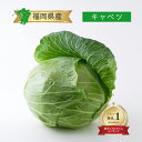 【キャベツ 送料無料】クール便 単品 1玉 / 1箱 10kg 5〜8個 1個 箱売り 箱買い まとめ買い セット 旬 時期 収穫 保存 おすすめ お取り寄せ ...