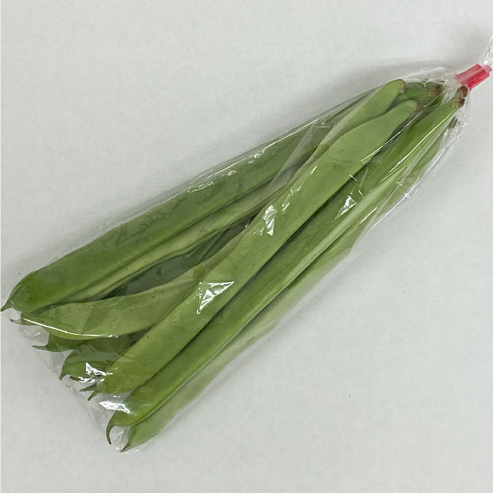 【九州産】単品　インゲン　100g