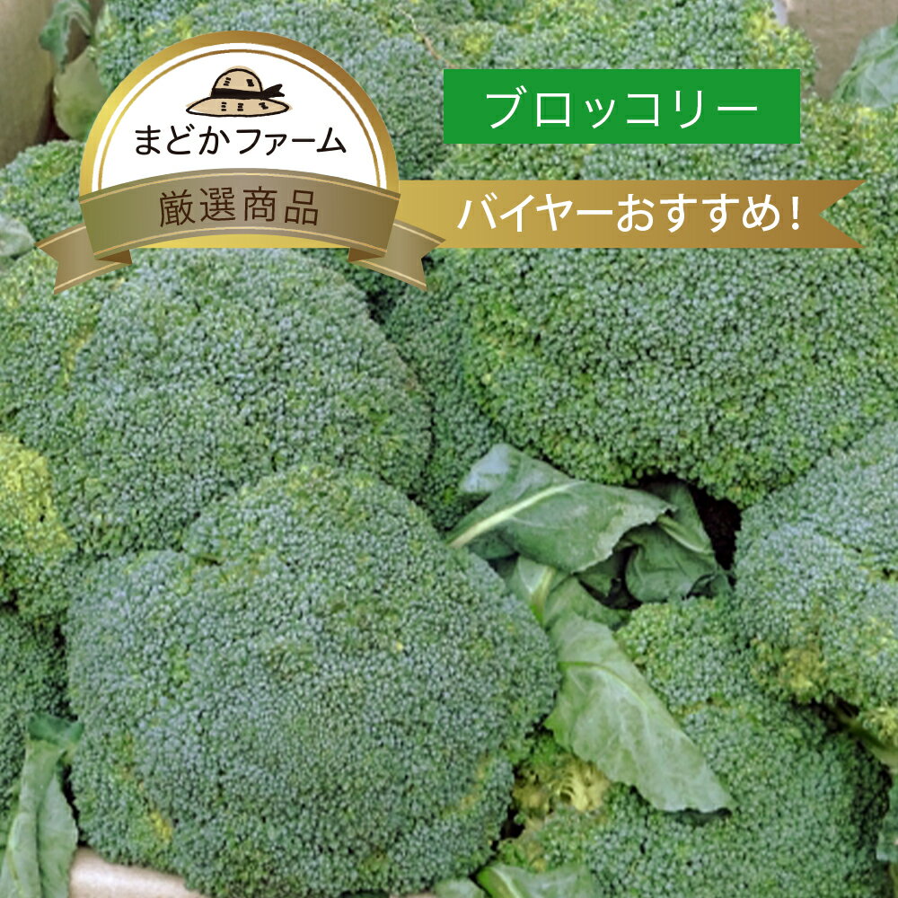 楽天スーパーSALE限定【10%OFF】クール便【国産】ブロッコリー 単品 1株 / 箱売り 5kg 20株～24株入り ..