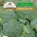 よく一緒に購入されている商品送料無料 ミニトマト 箱売り 3kg×2箱セッ8,986円 商品名 ブロッコリー 容量 ・単品 1株・5kg 20株〜24株入り・10kg 40株〜50株入り 生産地 日本産（産地はお任せください） 区分 食品 賞味期限 1週間~10日 保存方法 キッチンペーパーで包み、ポリ袋に入れ、軸を下にして立てて冷蔵庫で保存 販売店 まどかファーム楽天市場店 【さまざまなシーンのギフト商品あります】母の日 内祝 内祝い お祝い返し ウェディングギフト ブライダルギフト 引き出物 引出物 結婚引き出物 結婚引出物 結婚内祝い 出産内祝い 命名内祝い 入園内祝い 入学内祝い 卒園内祝い 卒業内祝い 就職内祝い 新築内祝い 引越し内祝い 快気内祝い 開店内祝い 二次会 披露宴 お祝い 御祝 結婚式 結婚祝い 出産祝い 初節句 七五三 入園祝い 入学祝い 卒園祝い 卒業祝い 成人式 就職祝い 昇進祝い 新築祝い 上棟祝い 引っ越し祝い 引越し祝い 開店祝い 退職祝い 快気祝い 全快祝い 初老祝い 還暦祝い 古稀祝い 喜寿祝い 傘寿祝い 米寿祝い 卒寿祝い 白寿祝い 長寿祝い 金婚式 銀婚式 ダイヤモンド婚式 結婚記念日 ギフト ギフトセット セット 詰め合わせ 贈答品 お返し お礼 御礼 ごあいさつ ご挨拶 御挨拶 プレゼント お見舞い お見舞御礼 お餞別 引越し 引越しご挨拶 記念日 誕生日 父の日 母の日 敬老の日 記念品 卒業記念品 定年退職記念品 ゴルフコンペ コンペ景品 景品 賞品 粗品 お香典返し 香典返し 志 満中陰志 弔事 会葬御礼 法要 法要引き出物 法要引出物 法事 法事引き出物 法事引出物 忌明け 四十九日 七七日忌明け志 一周忌 三回忌 回忌法要 偲び草 粗供養 お盆 初盆 供物 お供え お中元 御中元 お歳暮 御歳暮 お年賀 御年賀 残暑見舞い 年始挨拶 話題 のし無料 ラッピング無料 大量注文 簡易包装 女性 男性 親戚 親族 彼女 彼氏 友人 友達 両親 夫 旦那 妻 嫁 父 母類似商品はこちらクール便カリフラワー 1箱 6～8株入り 約33,208円九州産 箱売 サニーレタス 1箱 15株 ラン5,454円送料無料箱売 菊芋 1箱 5kg きくいも 箱3,240円送料無料箱売り 新玉ねぎ 1箱 10kg 5k2,808円～北海道産 たまねぎ 箱売り 1箱 送料無料 21,010円～送料無料箱売り トマト 2箱 目安4kg×2箱9,267円クール便送料無料 九州産 箱売り 小松菜 こま4,752円玉ねぎ 単品 1kg 少量 箱売り 10kg 496円～クール便 レッドキャベツ 赤キャベツ 紫キャベ551円～新着商品はこちら2024/4/30台湾 パイナップル パイン 1本 送料別 / 1,102円～2024/4/28びわ 枇杷 1パック 6～7玉入り / 8パッ918円～2024/4/28クインシーメロン 1玉 / 約5kg 4～6玉2,387円～再販商品はこちら2024/4/24送料無料箱売り しらぬい 不知火 葉付き デコ5,055円2024/4/18送料無料もち麦 280g 1袋 日本産 国産 691円2024/4/18古代米 赤米 220g 1袋 あかまい あかこ691円2024/05/04 更新 箱売り野菜はこちら