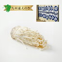 クール便【九州産】えのき 3袋 / 1箱 約5kg 送料無料えのきだけ エノキ エノキダケ きのこ 九州産 博多 福岡産 福岡県 農家 農園 生産者 産地 直送...