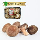 クール便【九州産】生しいたけ 九州産 1パック 4〜6個入りシイタケ 椎茸 九州産 農家 農園 生産者 産地 直送 直売 産直 通販 取り寄せ お取り寄せ ネッ...