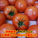 グルタミン酸 成分 効果 効能 とは 市販 サイズ国産 日本産 福岡産 福岡県 熊本産 熊本県 大分産 大分県 お取り寄せ ご当地 グルメ まとめ買い 箱買い 業務用 大容量 大量 パック 糖度 収穫 時期 旬 甘い 直売 産直 通販 直送【さまざまなシーンのギフト商品あります】母の日 内祝 内祝い お祝い返し ウェディングギフト ブライダルギフト 引き出物 引出物 結婚引き出物 結婚引出物 結婚内祝い 出産内祝い 命名内祝い 入園内祝い 入学内祝い 卒園内祝い 卒業内祝い 就職内祝い 新築内祝い 引越し内祝い 快気内祝い 開店内祝い 二次会 披露宴 お祝い 御祝 結婚式 結婚祝い 出産祝い 初節句 七五三 入園祝い 入学祝い 卒園祝い 卒業祝い 成人式 就職祝い 昇進祝い 新築祝い 上棟祝い 引っ越し祝い 引越し祝い 開店祝い 退職祝い 快気祝い 全快祝い 初老祝い 還暦祝い 古稀祝い 喜寿祝い 傘寿祝い 米寿祝い 卒寿祝い 白寿祝い 長寿祝い 金婚式 銀婚式 ダイヤモンド婚式 結婚記念日 ギフト ギフトセット セット 詰め合わせ 贈答品 お返し お礼 御礼 ごあいさつ ご挨拶 御挨拶 プレゼント お見舞い お見舞御礼 お餞別 引越し 引越しご挨拶 記念日 誕生日 父の日 母の日 敬老の日 記念品 卒業記念品 定年退職記念品 ゴルフコンペ コンペ景品 景品 賞品 粗品 お香典返し 香典返し 志 満中陰志 弔事 会葬御礼 法要 法要引き出物 法要引出物 法事 法事引き出物 法事引出物 忌明け 四十九日 七七日忌明け志 一周忌 三回忌 回忌法要 偲び草 粗供養 お盆 初盆 供物 お供え お中元 御中元 お歳暮 御歳暮 お年賀 御年賀 残暑見舞い 年始挨拶 話題 のし無料 ラッピング無料 大量注文 簡易包装 女性 男性 親戚 親族 彼女 彼氏 友人 友達 両親 夫 旦那 妻 嫁 父 母類似商品はこちら送料無料 九州産 箱売り トマト 1箱 目安45,336円送料無料 訳あり品箱売り トマト 2箱 目安47,582円送料無料 訳あり品箱売り トマト 1箱 目安44,493円トマト 1袋 3個入り 国産 日本産 福岡産 742円送料無料 ミニトマト 箱売り 3kg 産地直送5,195円送料無料 ミニトマト 箱売り 3kg×2箱セッ8,986円ミニトマト 1kg 産地直送 国産 国内産 九1,653円送料無料 九州産 箱売 ミニトマト 熊本産 ア4,212円送料無料箱売 菊芋 1箱 5kg きくいも 箱3,240円新着商品はこちら2024/4/30台湾 パイナップル パイン 1本 送料別 / 1,102円～2024/4/28びわ 枇杷 1パック 6～7玉入り / 8パッ918円～2024/4/28クインシーメロン 1玉 / 約5kg 4～6玉2,387円～再販商品はこちら2024/4/24送料無料箱売り しらぬい 不知火 葉付き デコ5,055円2024/4/18送料無料もち麦 280g 1袋 日本産 国産 691円2024/4/18古代米 赤米 220g 1袋 あかまい あかこ691円2024/05/01 更新 豊饒な九州の大地から産まれた九州産の野菜を産地直送でお届けします。野菜のおいしさを感じてみませんか！ 商品名 トマト 容量 1箱（約4kg 20〜28個） 生産地 九州産（福岡産・熊本産・大分産） 区分 食品 賞味期限 お早めにお召し上がりください。 保存方法 乾燥を避けるため袋などに入れて、野菜室でへたを下にして保存してください。 販売店 まどかファーム楽天市場店 1袋（3個入り）はこちら 1箱はこちら 訳あり商品はこちら おすすめトマト