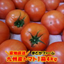 送料無料 九州産 箱売り トマト 1箱 目安4kg 20～28個国産 福岡 熊本 大分 産 お取り寄せ ご当地 グルメ まとめ買い 箱買い 業務用 大容量 大量 パック 糖度 収穫 時期 旬 甘い 直売 産直 通販 直送 品種 種類 お買い得