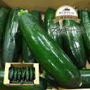 クール便【九州産・長野産】ズッキーニ 1個 / 1箱 約1kg 5〜10本程度国産 日本産 長野 宮崎 産 少量 単品 箱買い 箱売り まとめ買い お徳用 業務...