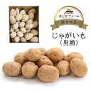 じゃがいも 男爵 九州産 長崎産 鹿児島産 ほか 送料無料 箱売り 1箱 10kg / 送料別 1k ...