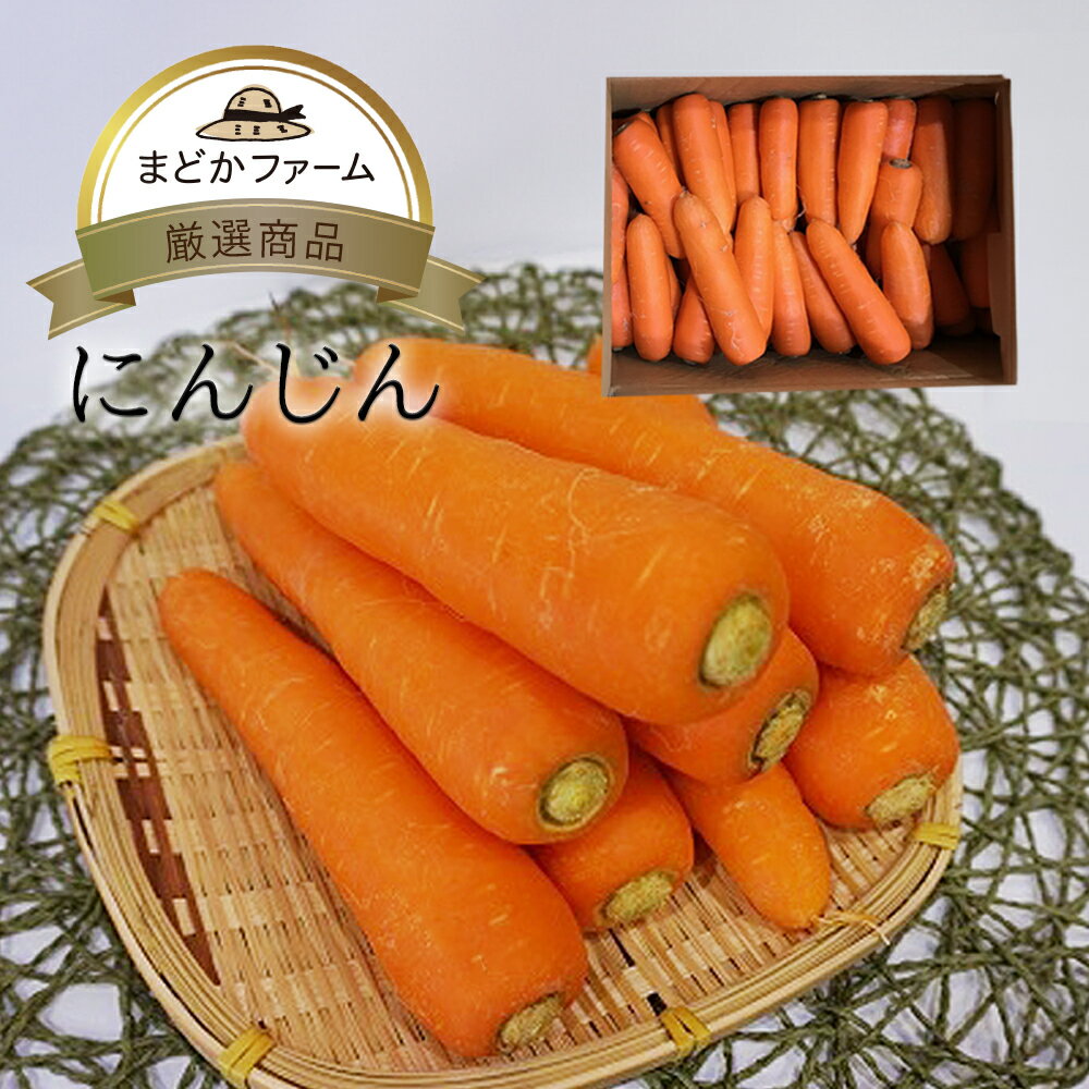 にんじん 九州産 熊本県産ほか 送料無料 箱売り 1箱 10kg / 送料別 1kg 単品 食べ切り人参 箱買い 箱売..