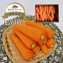 にんじん 九州産 熊本県産ほか 送料無料 箱売り 1箱 10kg / 送料別 1kg 単品 食べ切り ...