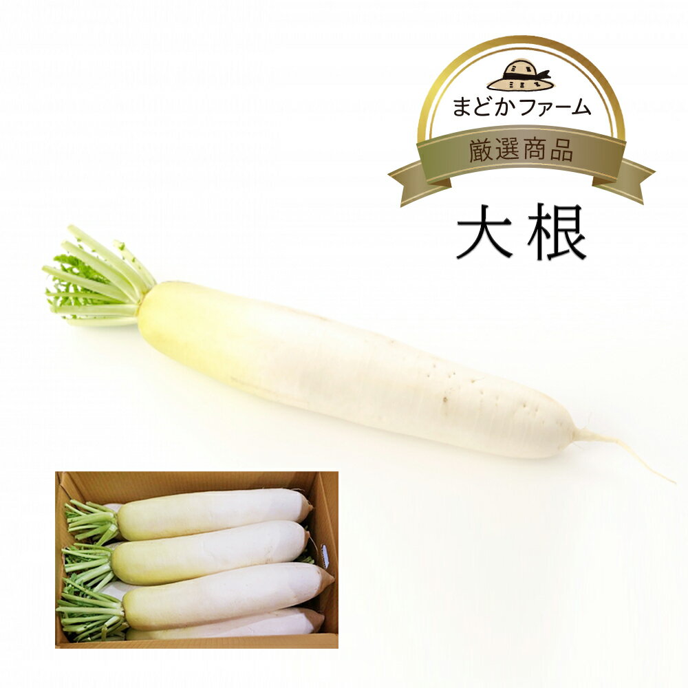 大根 九州産 信州産 送料無料 箱売り 1箱 10kg / 送料別 1本 単品 食べ切りだいこん 箱買い 箱売り まとめ買い 業務用 大容量 お徳用 10本 セット 農家 農園 産地 産直 直売 直送 通販 野菜 生産者