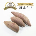 箱売 紅まさり さつまいも 1箱 1kg 約4～5本 / 5kg 約20～25本 / 10kg 約40～50本送料無料 個 入り 九州産 熊本 鹿児島 産 お買い得 まとめ買い 箱買い お取り寄せ グルメ 通販 値段 価格 業務用 人気 おすすめ 受賞 ブランド ランキング レビュー