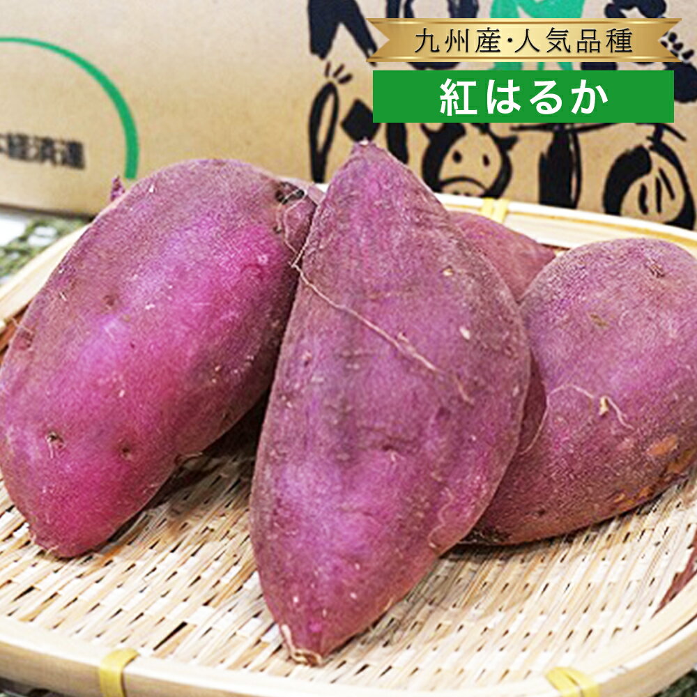 送料無料【九州産】箱売り 紅はるか さつまいも 約10kg箱買い 大容量 大量 業務用 べにはるか 国産 野菜 ブランド おすすめ 人気 話題 ランキング 取り寄せ お取り寄せ グルメ 商品 通販 農家 農園 味 美味しい 干し芋 焼き芋