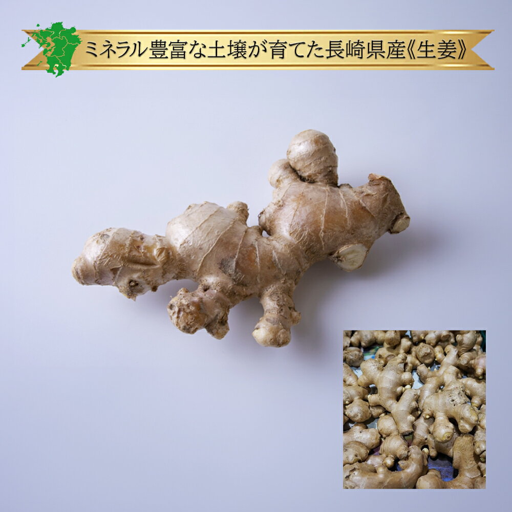 商品名 生姜 容量 ・約1kg・1箱（約4kg） 生産地 長崎県産、ほか 区分 食品 賞味期間 常温保存：2〜3週間冷蔵保存：2週間〜1ヶ月 保存方法 常温保存：風通しの良い冷暗所（15℃前後）で常温保存。 乾燥を防ぐために、濡らした新聞紙などで生姜を包む。冷蔵保存：生姜全体が被るくらいの水をためた容器に入れて野菜室で保存。 販売店 まどかファーム楽天市場店 業務用 まとめ買い 箱買い お徳用 大容量 大量 おすすめ 人気 話題 口コミ クチコミ ランキング 取り寄せ お取り寄せ グルメ 商品 通販 味 美味しい レシピ 料理 市販 効果 効能 栄養 成分 ビタミン【さまざまなシーンのギフト商品あります】母の日 内祝 内祝い お祝い返し ウェディングギフト ブライダルギフト 引き出物 引出物 結婚引き出物 結婚引出物 結婚内祝い 出産内祝い 命名内祝い 入園内祝い 入学内祝い 卒園内祝い 卒業内祝い 就職内祝い 新築内祝い 引越し内祝い 快気内祝い 開店内祝い 二次会 披露宴 お祝い 御祝 結婚式 結婚祝い 出産祝い 初節句 七五三 入園祝い 入学祝い 卒園祝い 卒業祝い 成人式 就職祝い 昇進祝い 新築祝い 上棟祝い 引っ越し祝い 引越し祝い 開店祝い 退職祝い 快気祝い 全快祝い 初老祝い 還暦祝い 古稀祝い 喜寿祝い 傘寿祝い 米寿祝い 卒寿祝い 白寿祝い 長寿祝い 金婚式 銀婚式 ダイヤモンド婚式 結婚記念日 ギフト ギフトセット セット 詰め合わせ 贈答品 お返し お礼 御礼 ごあいさつ ご挨拶 御挨拶 プレゼント お見舞い お見舞御礼 お餞別 引越し 引越しご挨拶 記念日 誕生日 父の日 母の日 敬老の日 記念品 卒業記念品 定年退職記念品 ゴルフコンペ コンペ景品 景品 賞品 粗品 お香典返し 香典返し 志 満中陰志 弔事 会葬御礼 法要 法要引き出物 法要引出物 法事 法事引き出物 法事引出物 忌明け 四十九日 七七日忌明け志 一周忌 三回忌 回忌法要 偲び草 粗供養 お盆 初盆 供物 お供え お中元 御中元 お歳暮 御歳暮 お年賀 御年賀 残暑見舞い 年始挨拶 話題 のし無料 ラッピング無料 大量注文 簡易包装 女性 男性 親戚 親族 彼女 彼氏 友人 友達 両親 夫 旦那 妻 嫁 父 母類似商品はこちら送料無料 箱売り シーボルトメロン 1箱 5k5,616円送料無料加工用 漬物用 箱売 きゅうり キュウ5,454円送料無料 箱売り バナナ 1箱 18～29袋 6,318円送料無料箱売り 紅はるか さつまいも 約10k8,424円送料無料 九州産 箱売り きゅうり キュウリ 6,858円九州産 箱売 サニーレタス 1箱 15株 ラン4,908円送料無料箱売り しめじ ぶなしめじ 1箱 3k3,300円送料無料 箱売り アボカド 1箱 25～33玉6,718円クール便送料無料！箱売り　えのき　1箱　業務用4,542円新着商品はこちら2024/5/27クール便 ぶどう デラウェア 単品 1パック 858円～2024/5/26大根 九州産 信州産 送料無料 箱売り 1箱 404円～2024/5/26クール便 サニーレタス 箱 箱買い 1箱 15331円～再販商品はこちら2024/5/27クール便 送料無料 箱売 グリーンボール 1箱4,050円2024/5/26クール便送料無料箱売 白ねぎ 長ねぎ 1箱 33,932円2024/5/26送料無料キンショウメロン キンショーメロン 15,195円2024/05/28 更新