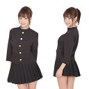 押忍!女番長 コスプレ衣装 パーティ 学生服 レディース A0618BK