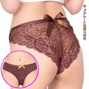 ミルクチョコレート香るシースルーヒップパンティ フルバックショーツ レディースショーツ セクシーランジェリー レディース 5C0333BR