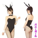 バニーガール2 コスチューム コスプレ衣装 網タイツ レディース 【A0247BK】(3)