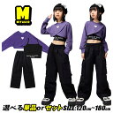 アメカジ パープル 紫色 チアガール キッズダンス衣装 セットアップ ヒップホップ 上下セット ポッピング ジャズダンス jazz へそ出し ショート丈 トップス カーゴパンツ ウェストパンツ キャミソール 韓国hiphop K-POP 女の子 発表会 演出服 団体服 応援団 練習着 舞台服
