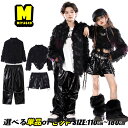 黒系 フェザー シアー長袖シャツ もこもこ キッズダンス衣装 セットアップ ヒップホップ 男の子 女の子 ブラック 光沢 レザーパンツ 合皮 短パン ショートパンツ レッグウォーマー おしゃれ jazz ジャズ ストリート系 原宿系 かっこいい hiphop 韓国 k-pop 演出服 発表会