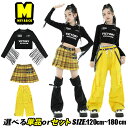 黒 英字 長袖トップス へそ出し フリンジ ショート丈 カーゴパンツ スカート チェック レッグウォーマー キッズダンス衣装 セットアップ ダンスウェア ステージ衣装 チアガール ヒップホップ 子供服 演出服 普段着 発表会 団体服 かっこいい きれいめ おしゃれ 女の子 新品