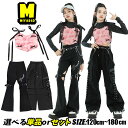 バラ キャミソール ピンク 長袖トップス へそ出し ショート丈 黒 フレアパンツ スタッズ パンツ キッズダンス衣装 セットアップ ダンスウェア ステージ衣装 チアガール ヒップホップ 子供服 演出服 普段着 発表会 団体服 かっこいい きれいめ おしゃれ ファッション 女の子