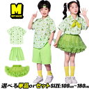 チュチュスカート キッズ チアガール 衣装 アボカド グリーン シャツ キッズダンス衣装 セットアップ キッズ ダンス 短パンツ サロペット パンツ ゆったり可愛い ダンス衣装 キッズ スカート ダンスウェア チアダンス ステージ バンダナ 小学生 幼稚園 団体服 演出服 発表会