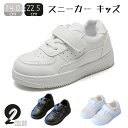 レトロなストリート系デザイン！NIKE/ナイキ コートボローLOWリクラフトPSDV5457-600