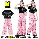 ピンク カーゴパンツ 桜色 ワイドパンツ 総柄 キッズダンス衣装 セットアップ チアガール キッズ ダンスウェア ブラック トップス ヘソ出し 蝶結び 黒 女の...