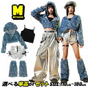 シルバー ブルー スパンコール レザー パンツ ガールズ 女の子 チアガール キッズ ダンス衣装 セットアップ