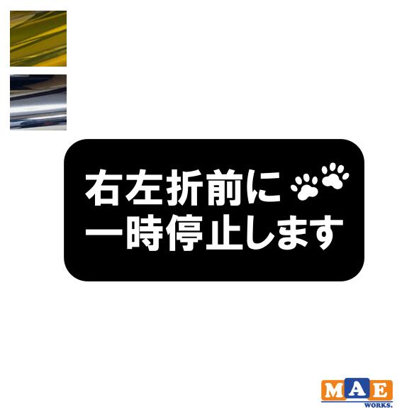 乐天商城 - 金銀メッキカラー！ エコドライブ 一時停止 安全運転 カッティングステッカー シンプル かわいい シール 車 あおり運転 防止 事故防止 カーステッカー マエワークスオリジナル eco-27m