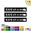 【3枚セット】全20色 モルモットがいます カッティングステッカー 玄関 ポスト 表札 開閉注意 脱走防止 防犯 飛び出し注意 モル モルモット モルちゃん ペット 案内 表示 セキュリティ petcut-15