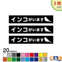 【3枚セット】全20色 インコがいます カッティングステッカー 玄関 ポスト 表札 開閉注意 脱走防止 防犯 飛び出し注意 インコ 鳥 鳥類 セキセイインコ ペット 案内 表示 セキュリティ petcut-19