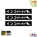 【3枚セット】金銀メッキカラー インコがいます カッティングステッカー 玄関 ポスト 表札 開閉注意 脱走防止 防犯 飛び出し注意 インコ 鳥 鳥類 セキセイインコ ペット 案内 表示 セキュリティ petcut-19m(4)