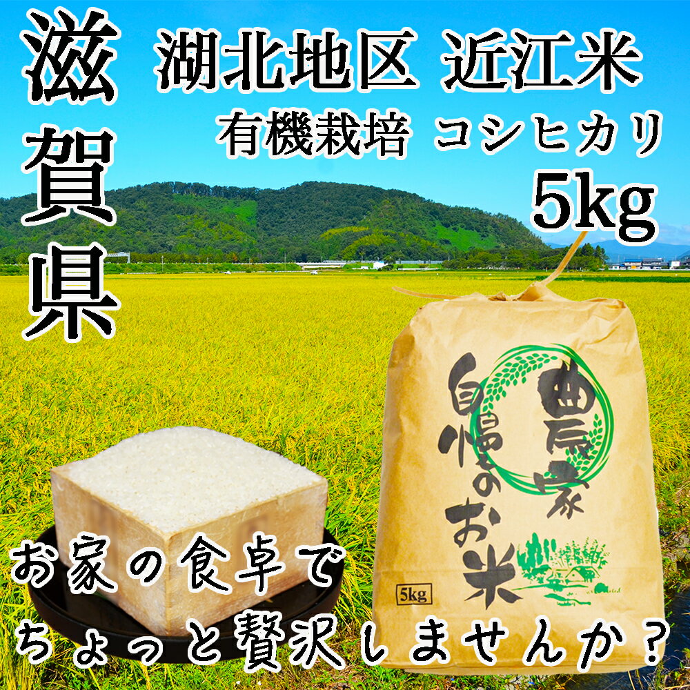 (近江米コシヒカリ) 令和2年の新米！滋賀県産コシヒカリ5kg　県内でも人気の湖北地区のコシヒカリ　伊吹山の副流水と有機肥料で栽培したコシヒカリをぜひ！コシヒカリ 近江米 2020年産 米 お米 白米 玄米 滋賀県産 産直 送料無料 産地直送