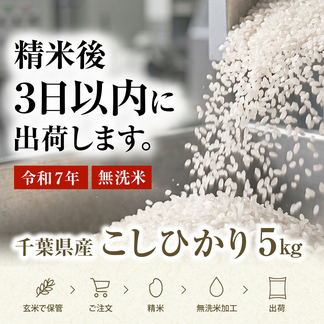 【新米・令和7年・令和8年】一等米 コシヒカリ 千葉県産100％ 房の黄金米 単一原料米 米 お米 無洗米 白米 5キロ 10キロ 15キロ 20キロ こしひかり 送料無料 おにぎり お弁当 冷めてもおいしい 米 一等米新米 二度磨き 粒選別 乾式無洗米 令和7年産も販売中