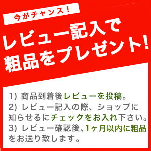 レビュー