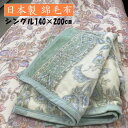 日本製 綿毛布 フラワー ペイズリー シングル 140×200cm 綿100% 綿毛布 マイヤー織 軽量 薄手 軽い やわらかい 天然素材
