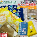 毛布 福袋 ねこ いぬ ネコ柄 タオル福袋 ブルーシングル ひざ掛け ハーフケット フランネル 冬秋 毛布 あたたか 暖かい 薄手 かわいい お子様 プレゼント...