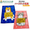 ハーフケット毛布 アニマル いぬ犬 ねこ猫 ハーフサイズ 約100×140cm あったか オフィス 子供用 動物柄 わくわくあにまる 2025