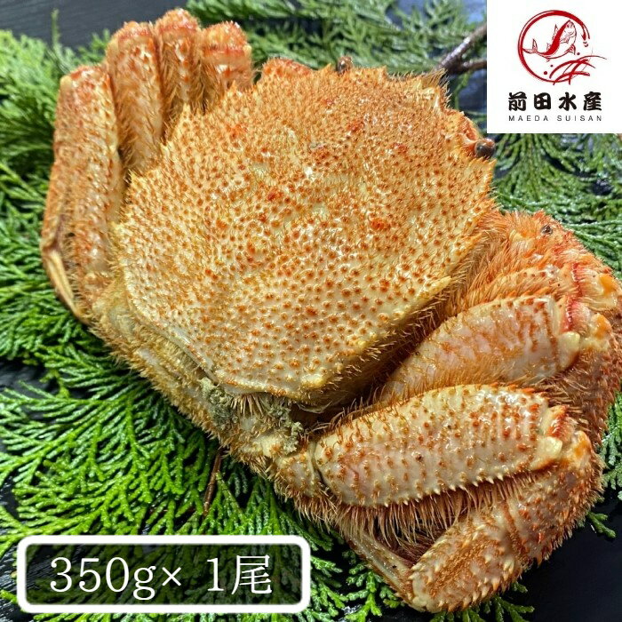 【北海道直送】北海道産　毛蟹　1尾（約350g）　ボイル済み　冷凍　天然無添加　毛ガニ　けがに　毛が ...