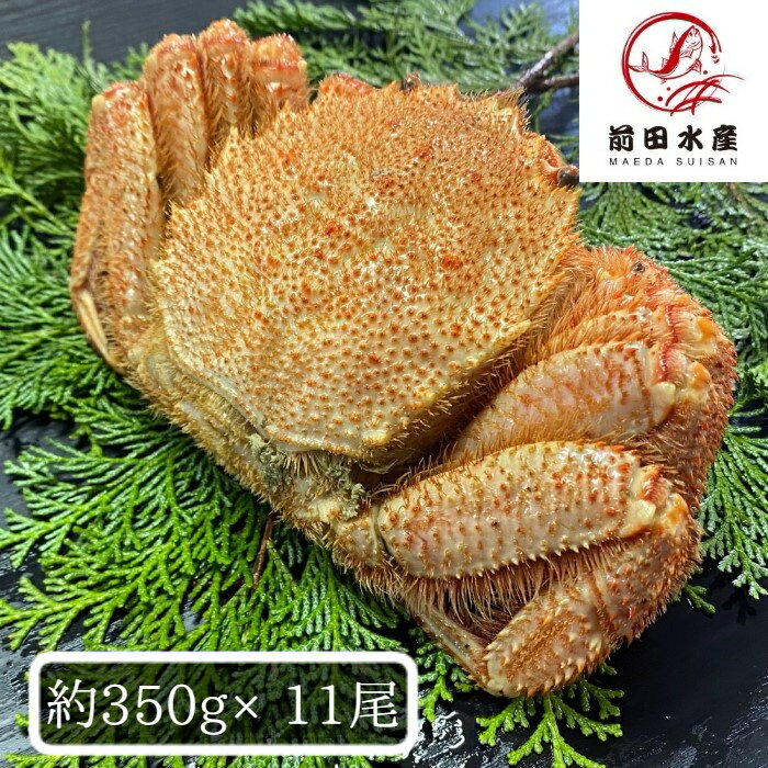 【お歳暮・年末ギフト】北海道産　毛蟹　11尾セット（1尾約350g）　ボイル済み　冷凍　毛ガニ　けがに..